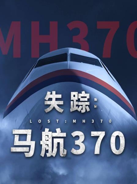 涩里番《失踪：马航370》免费在线观看