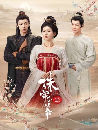 涩里番《珠帘玉幕》免费在线观看